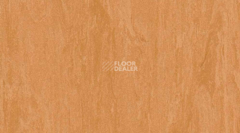 Линолеум Classic Imperial 2mm 0018 TERRA фото 1 | FLOORDEALER